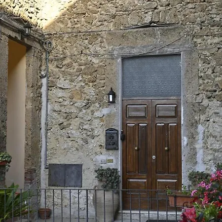 Domus Ponte